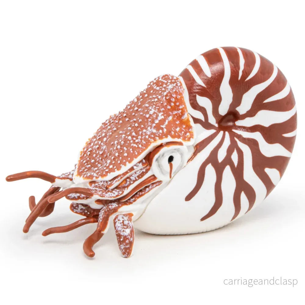 Papo – Nautilus