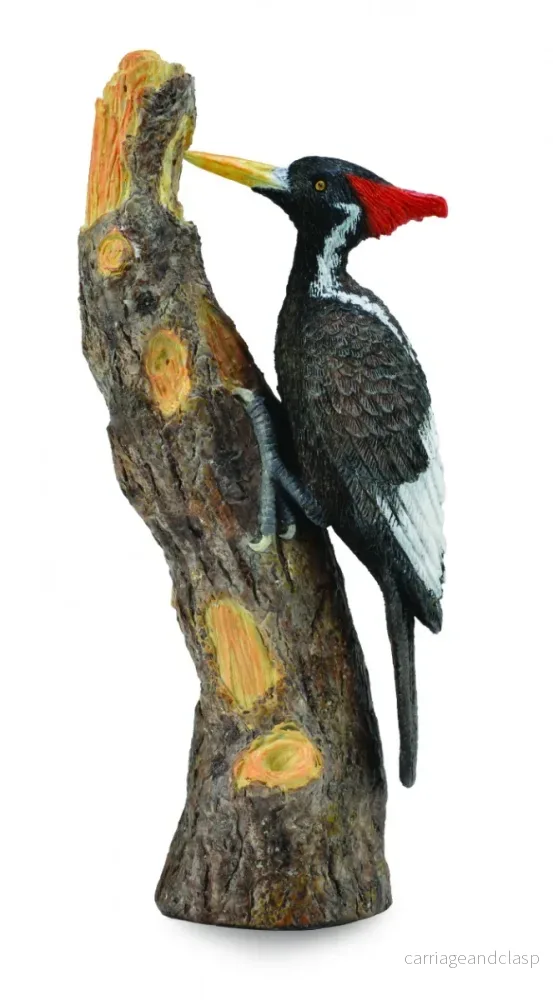 CollectA - Elfenbensnäbb - Bild 2