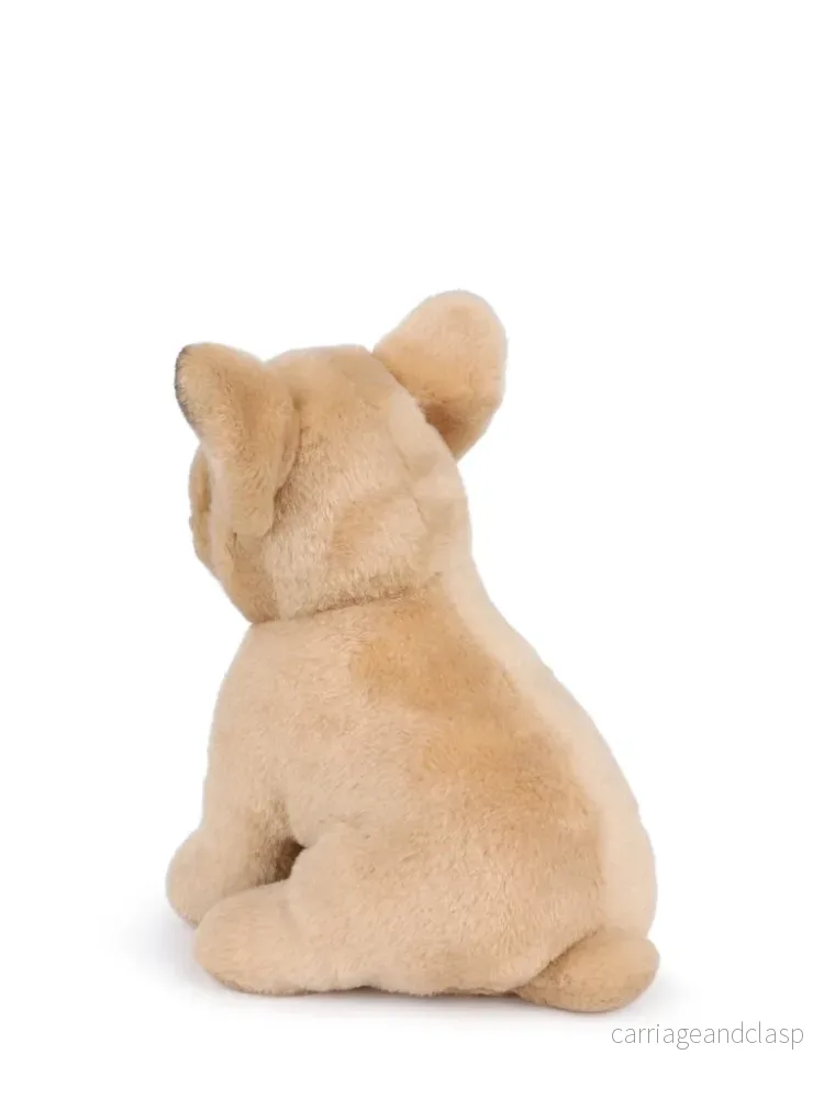 B.T. Chaps - Philippe the French Bulldog - Bild 3