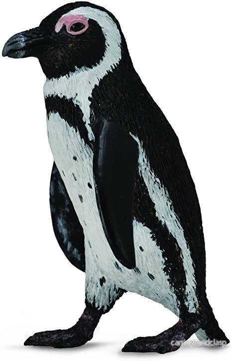 CollectA - Sydafrikansk pingvin