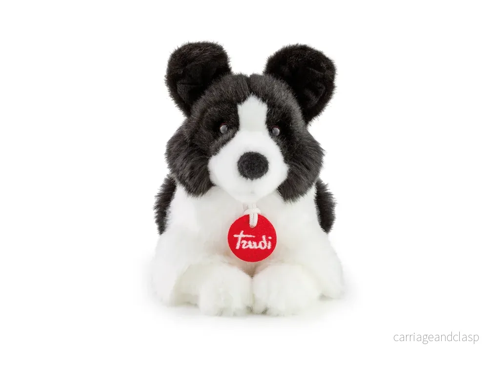 Trudi - Border Collie Scott, S - Bild 2