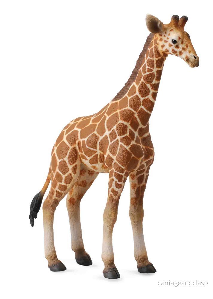 CollectA – Giraff kalv (nätgiraff)
