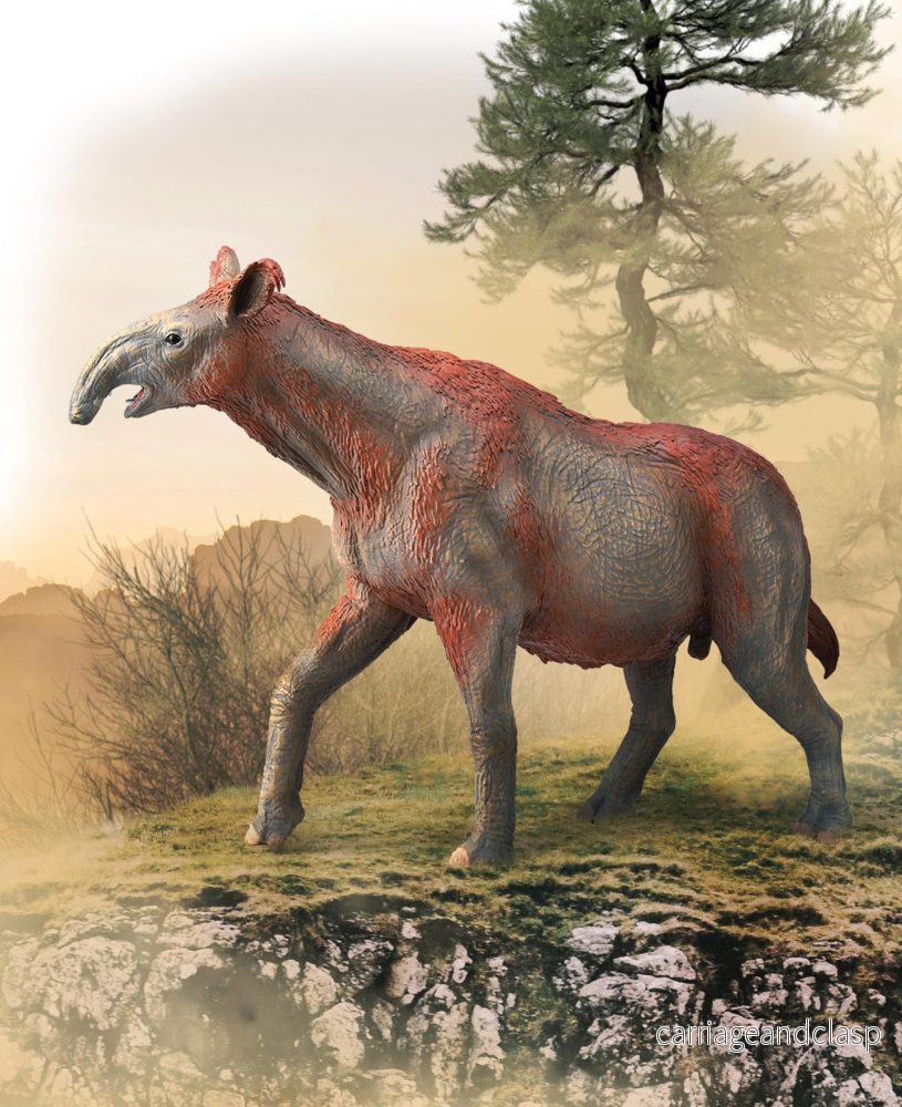 CollectA - Paraceratherium Deluxe - Bild 2