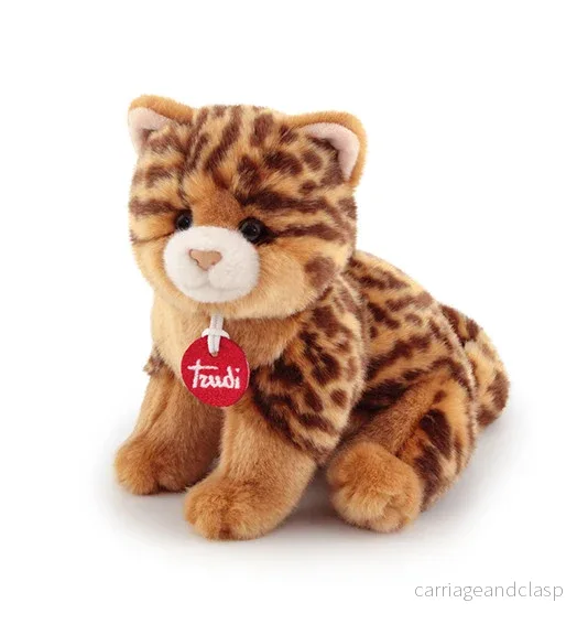 Kitten Brad animalier