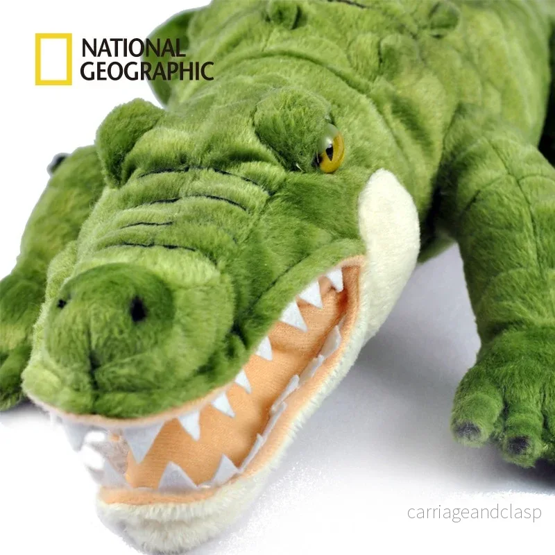 National Geographic: Krokodil - Bild 2