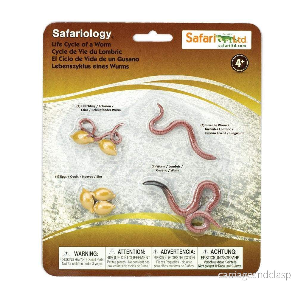 Safari Ltd - Livscykel av en mask - Safariology®