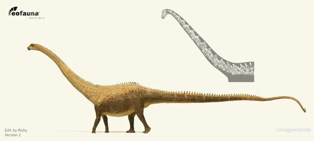 Eofauna - Diplodocus (D. carnegii) - Bild 3