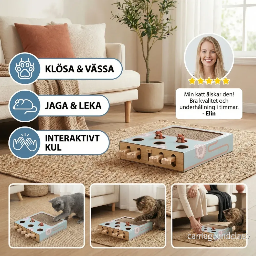 3-i-1 Leklåda för Katter - Bild 3
