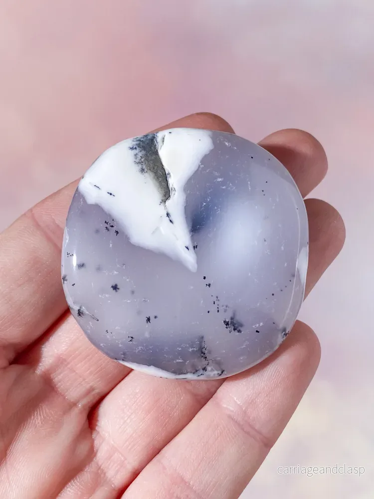 Dendritopal (nr 2) - Bild 2
