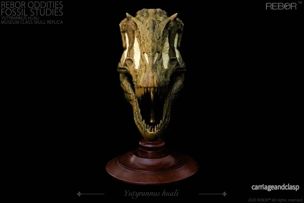 REBOR Oddities Fossil Studies Yutyrannus huali Museum Class Skull Replica - Bild 3