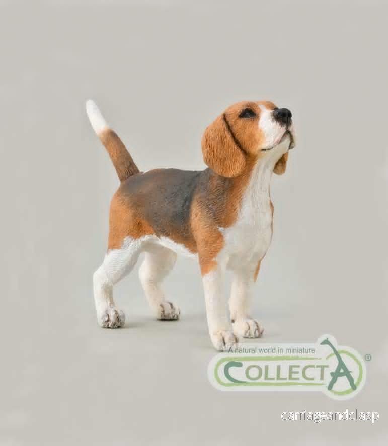 CollectA - Beagle - Bild 2