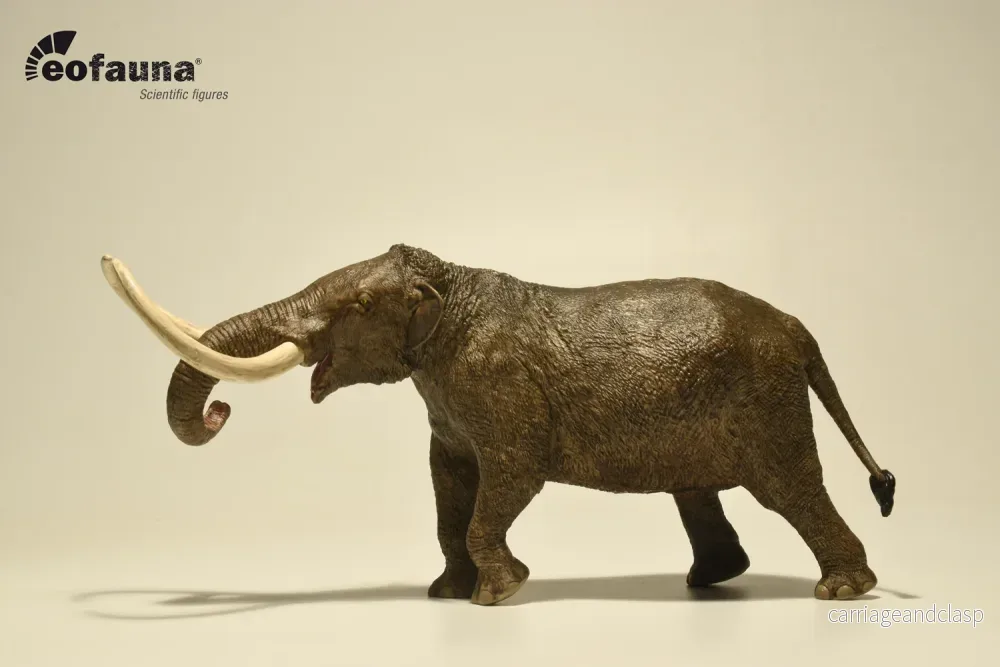 Eofauna - Amerikansk mastodont (Mammut americanum) - Bild 2