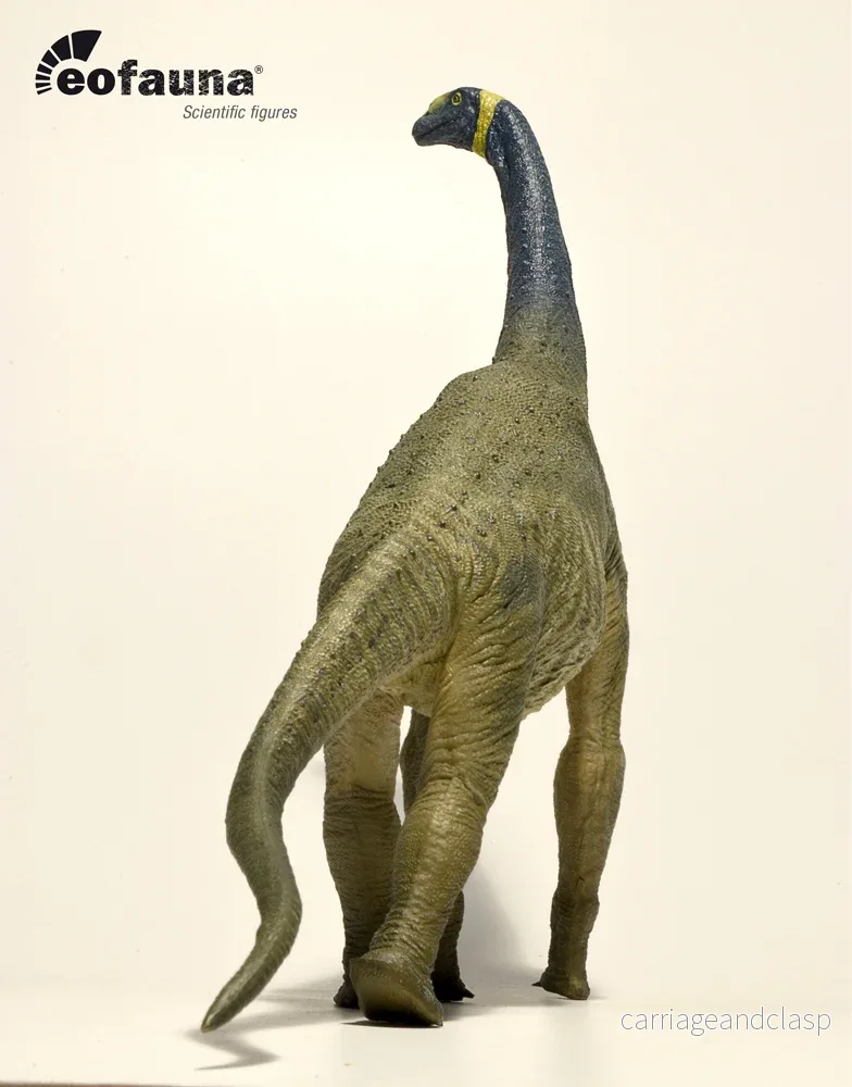 Eofauna - Atlasaurus - Bild 3