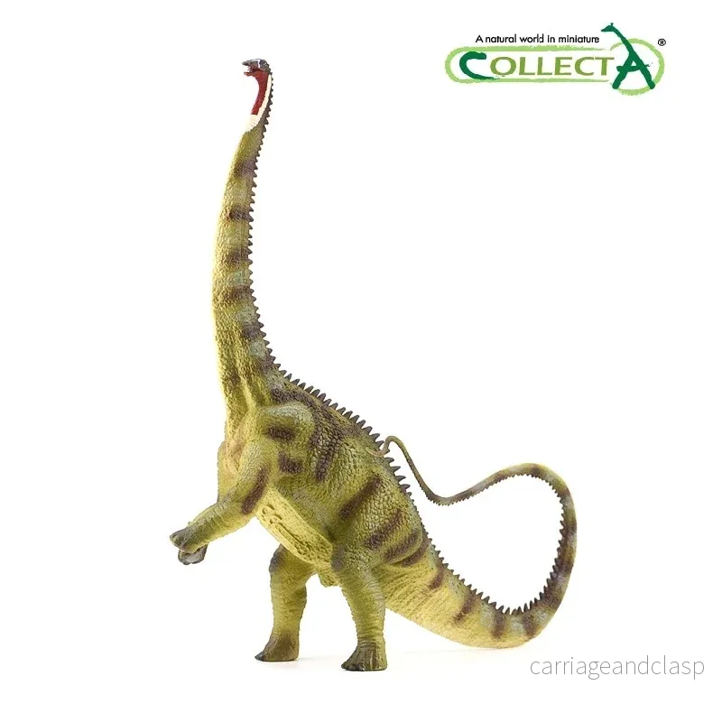 CollectA - Diplodocus - Bild 2