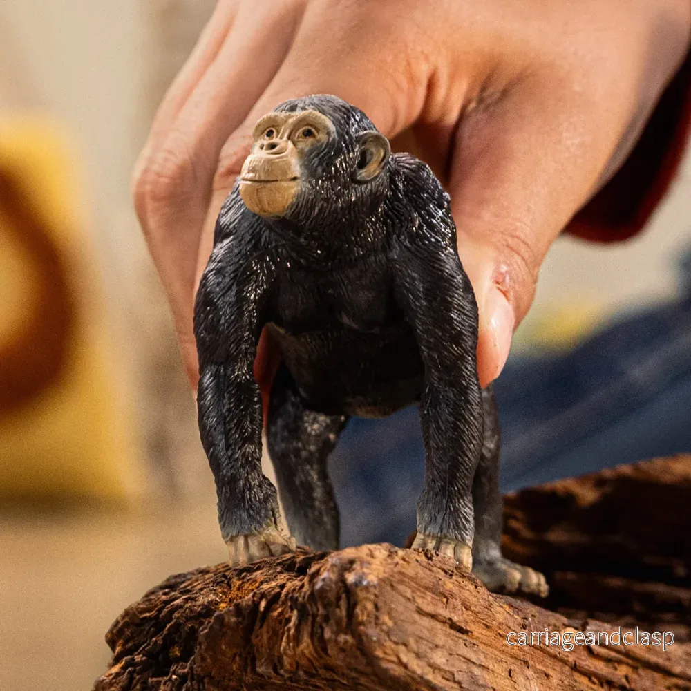 Schleich - Schimpans - Bild 2