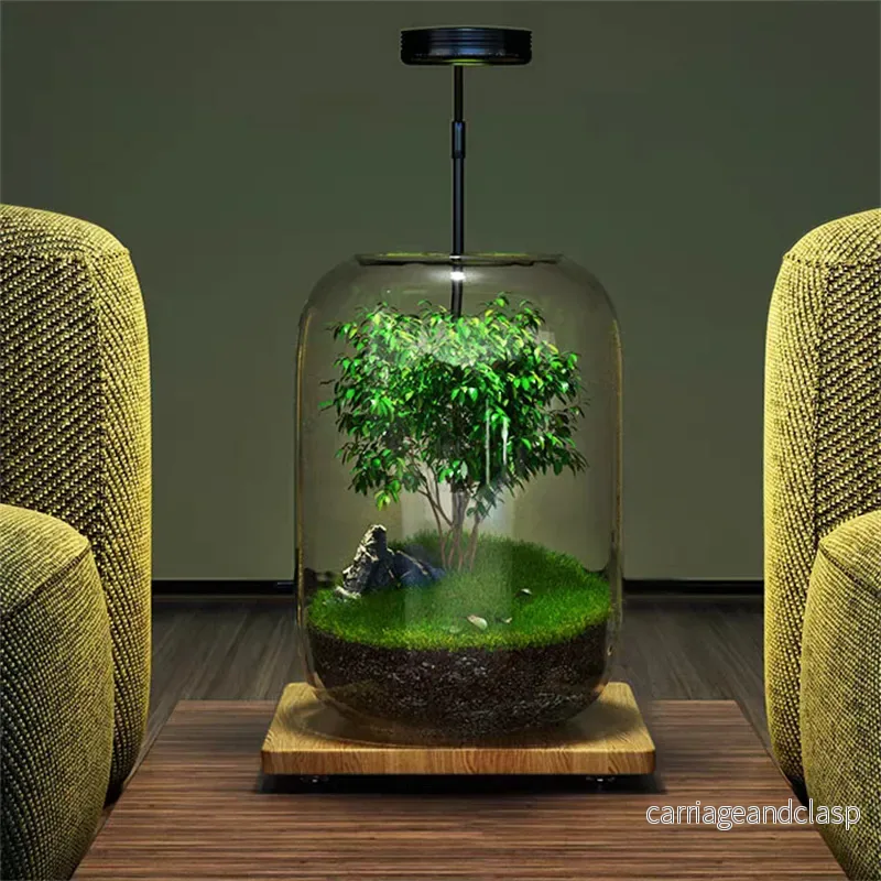 Mikro Landskap Grön Oas Glas Vas | Veska Mikro Landskap Grön Oas Glas Vas | Veska