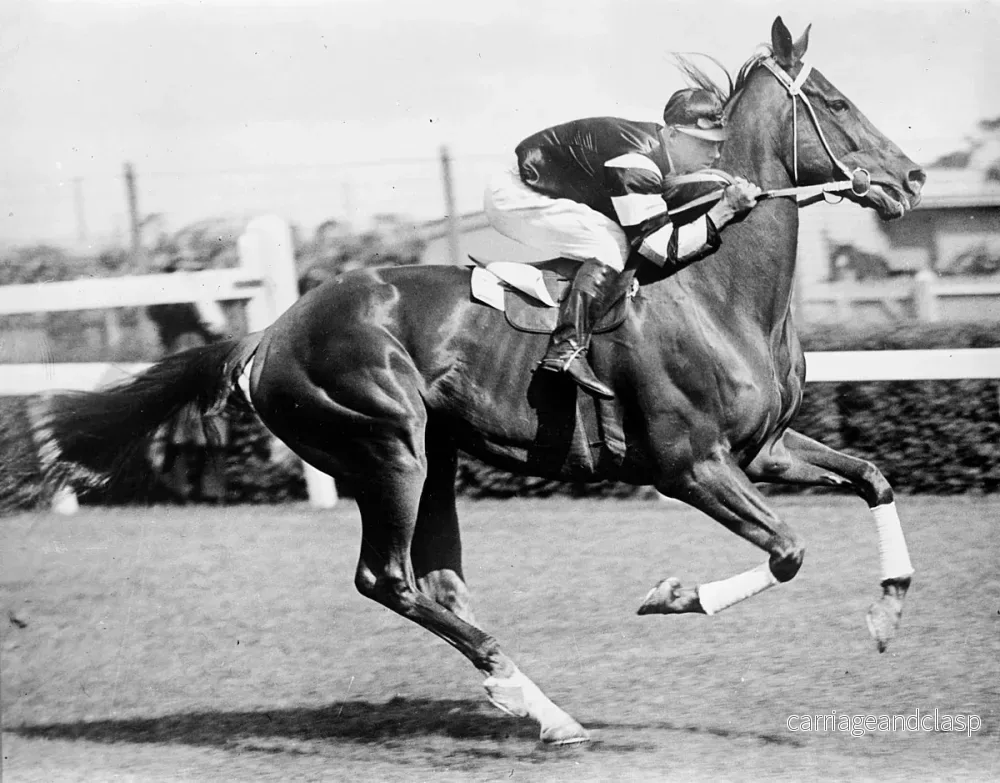 CollectA - Phar Lap, Engelskt fullblod hingst - Fux - Bild 3