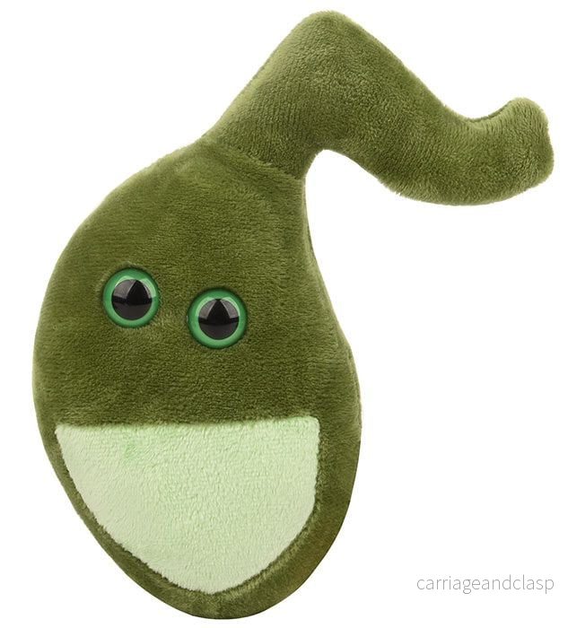 GIANTmicrobes - Gallblåsa - Bild 2