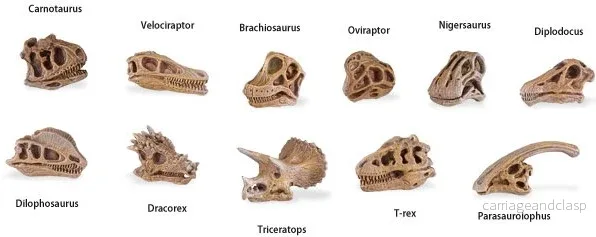 Safari Ltd - Dinosaurier skallar TOOB® - Bild 2