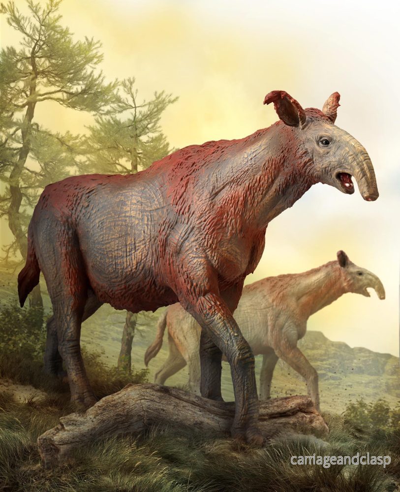 CollectA - Paraceratherium Deluxe - Bild 3