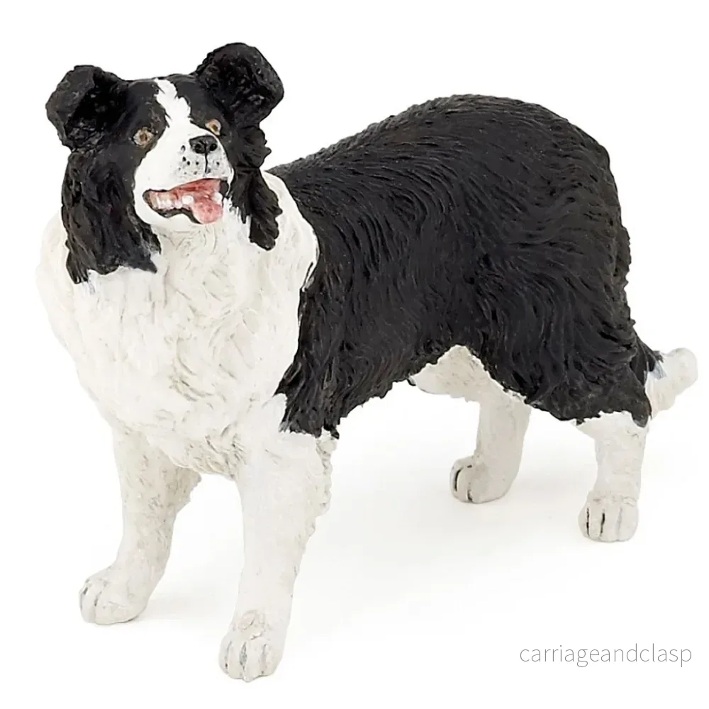 Papo - Border collie - Bild 2
