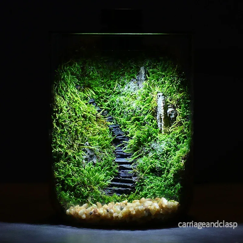 Mini Forest Maker Terrarium Dekor Vas | Veska - Bild 2