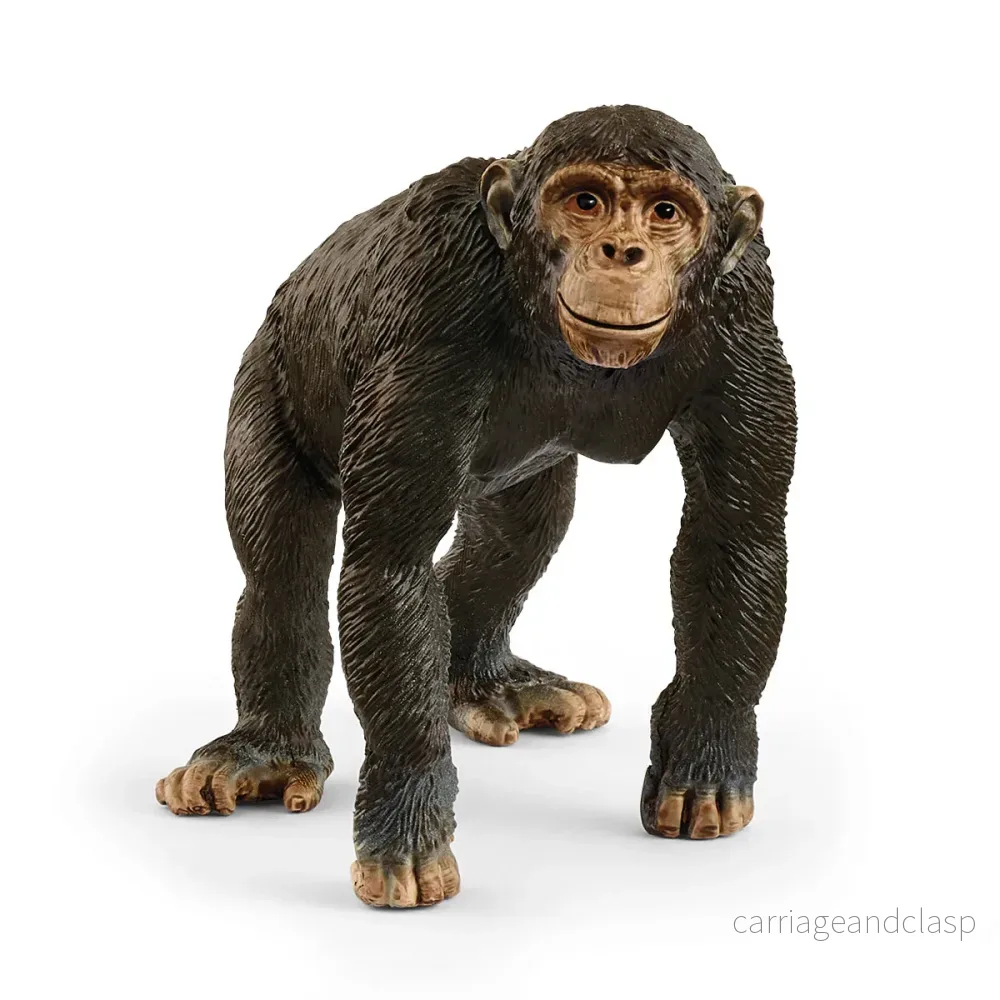 Schleich – Schimpans Schleich – Schimpans
