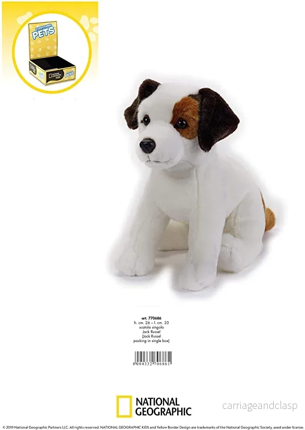 National Geographic Kids: Jack Russel Terrier - Bild 3