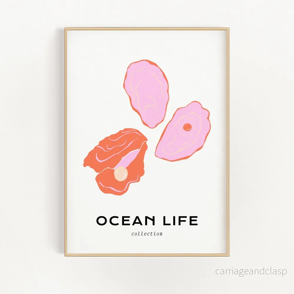 Ocean Life – Shell | Veska