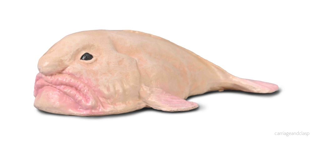 CollectA - Blobfisk (Psychrolutes marcidus) - Bild 2