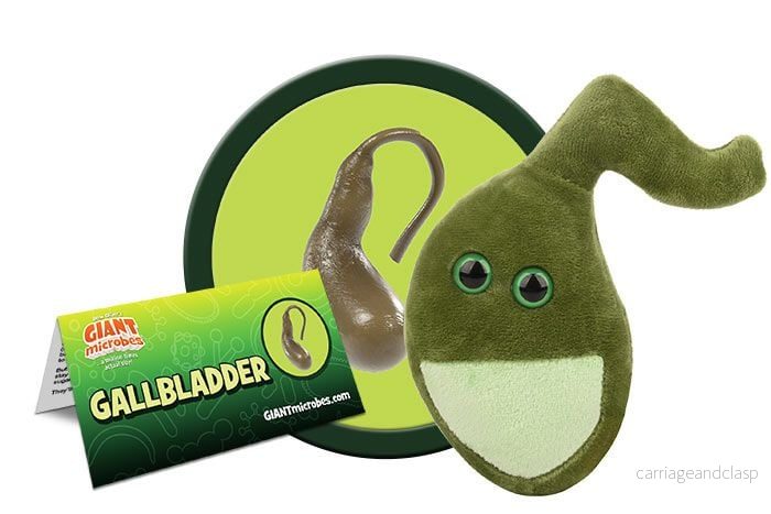GIANTmicrobes - Gallblåsa