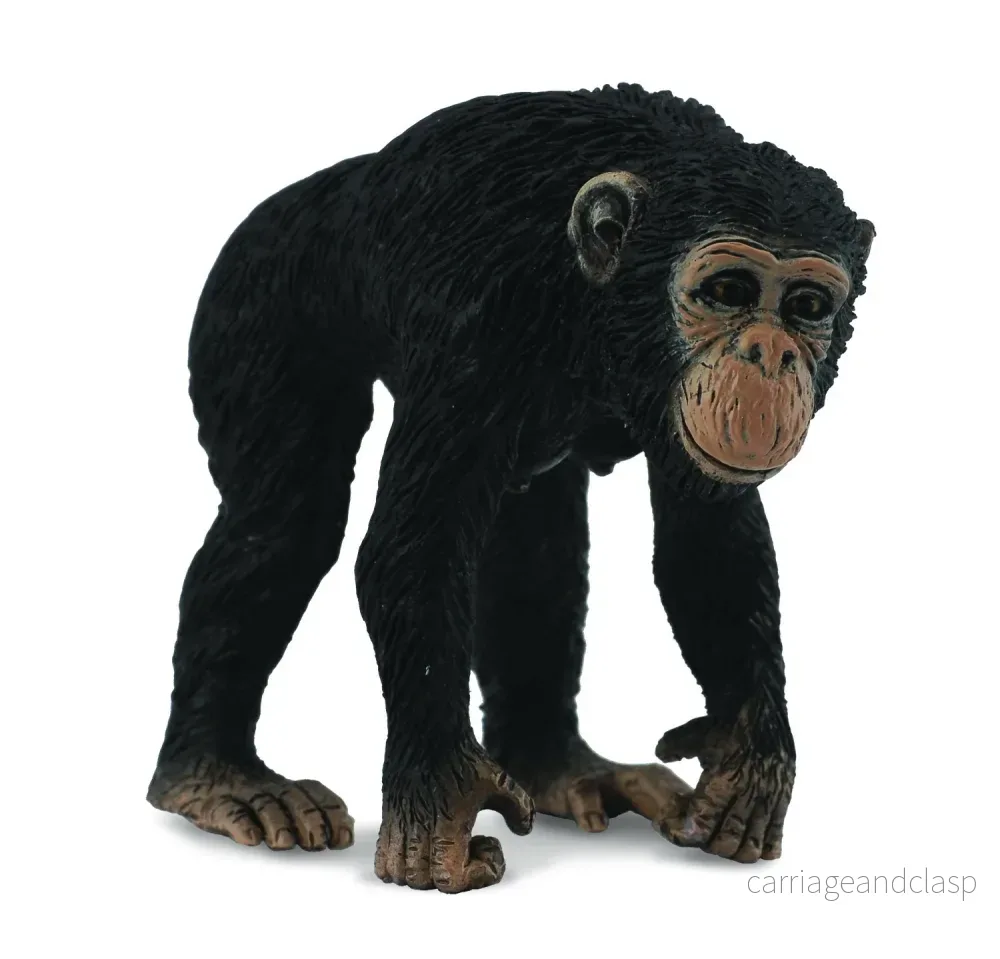 CollectA – Schimpans hona CollectA – Schimpans hona