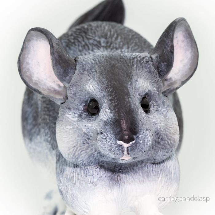 Safari Ltd - Chinchilla (stor modell) - Bild 2
