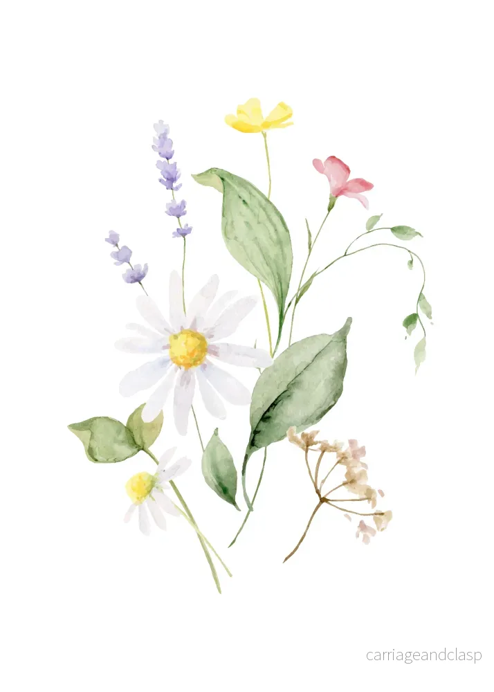 Wildflower Harmony
