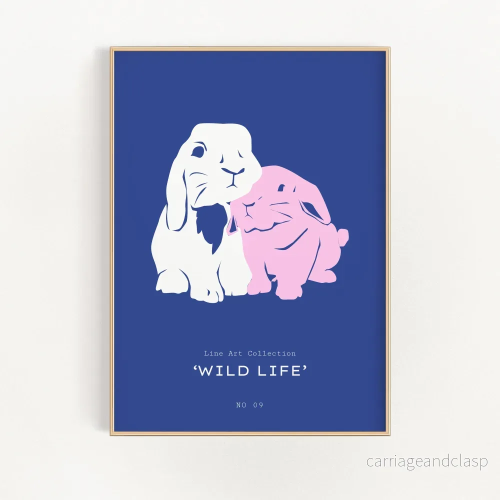Rabbits | Veska Rabbits | Veska