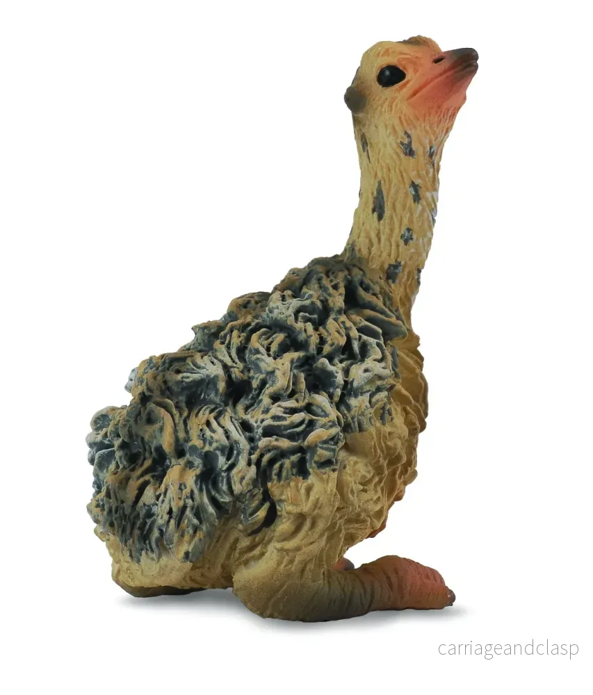 CollectA – Struts kyckling – sittande CollectA – Struts kyckling – sittande