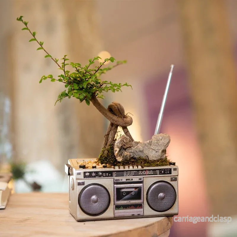 Retro Radio TV Succulent Pot | Veska - Bild 2