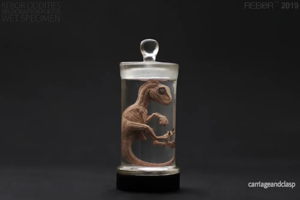REBOR Oddities Velociraptor Foetus Wet Specimen with Light Up Base - Bild 2
