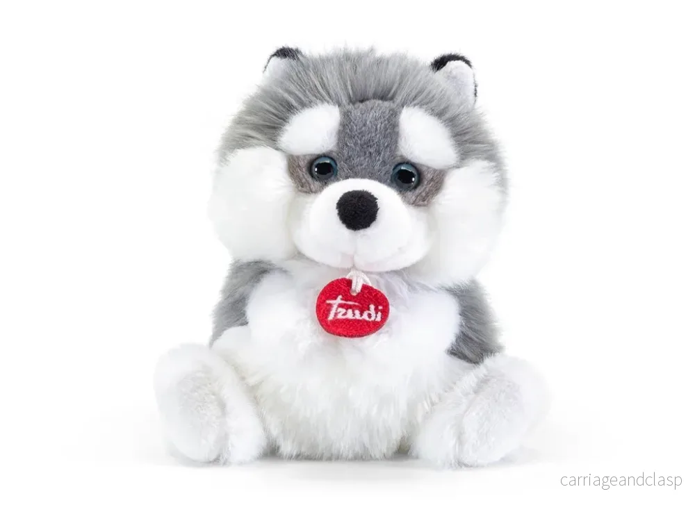 Fluffy Husky