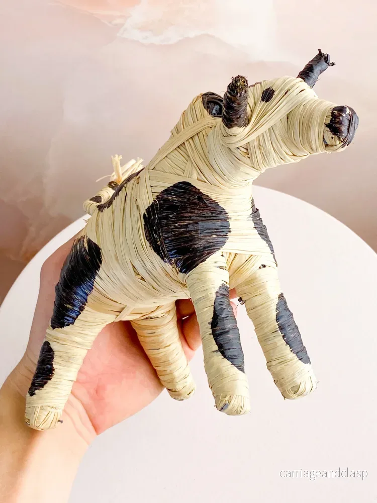Hand -tråkig tjur från Madagaskar - Bild 2
