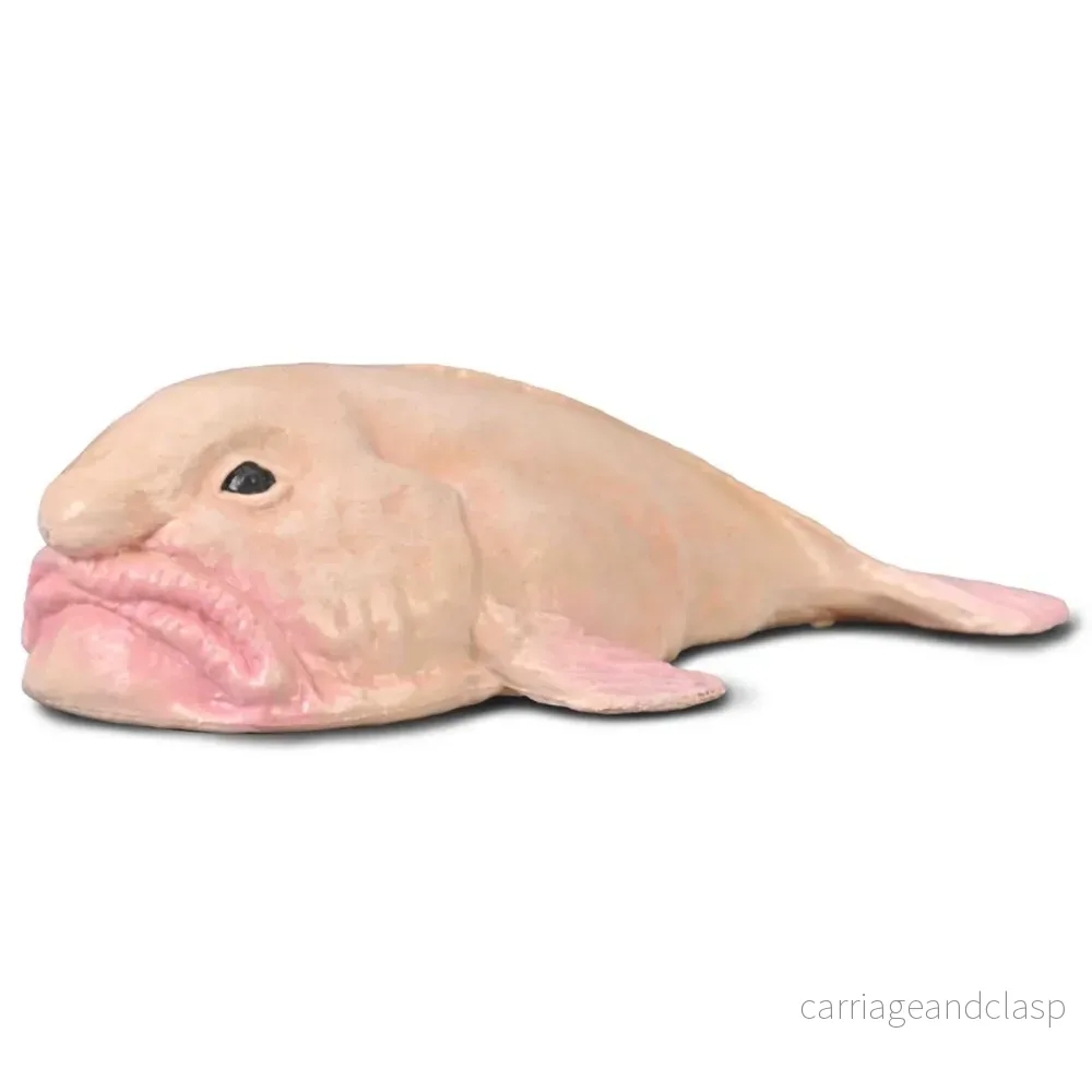 CollectA - Blobfisk (Psychrolutes marcidus)