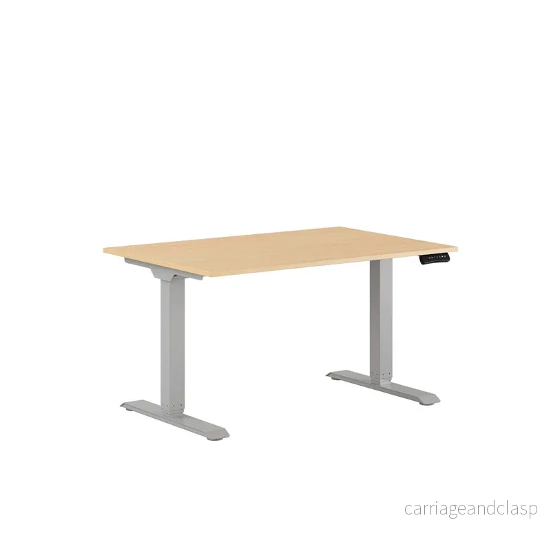 Premium Elektriskt höj- och sänkbart skrivbord 120x80cm - Bild 2