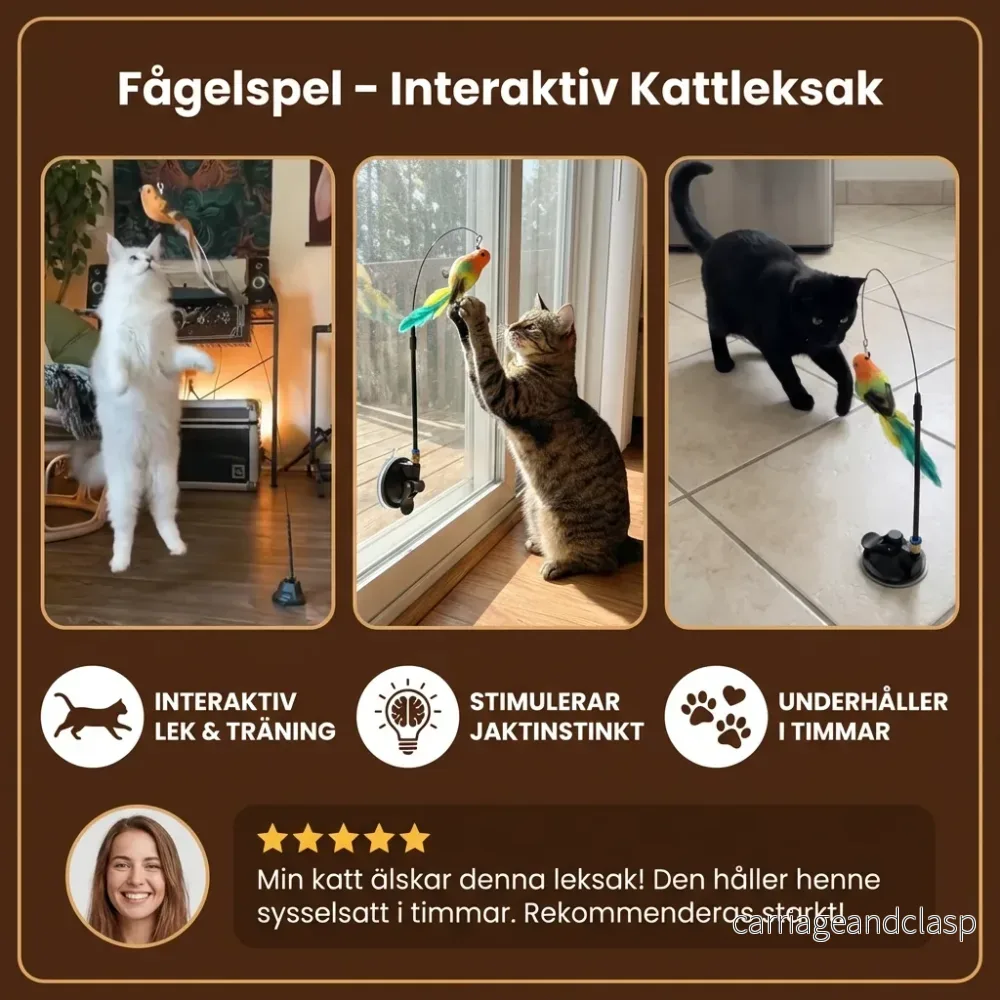 Fågelspel – Interaktiv Kattleksak - Bild 3