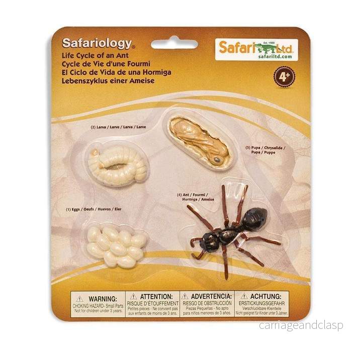 Safari Ltd - Livscykel av en myra - Safariology®