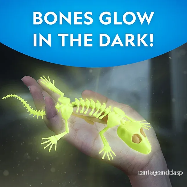 National Geographic - Gecko Dissektionslabb - Bild 2