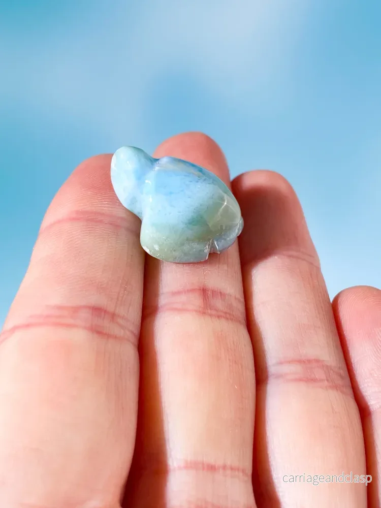 Larimar Sköldpadda (Nr. 2) - Bild 2