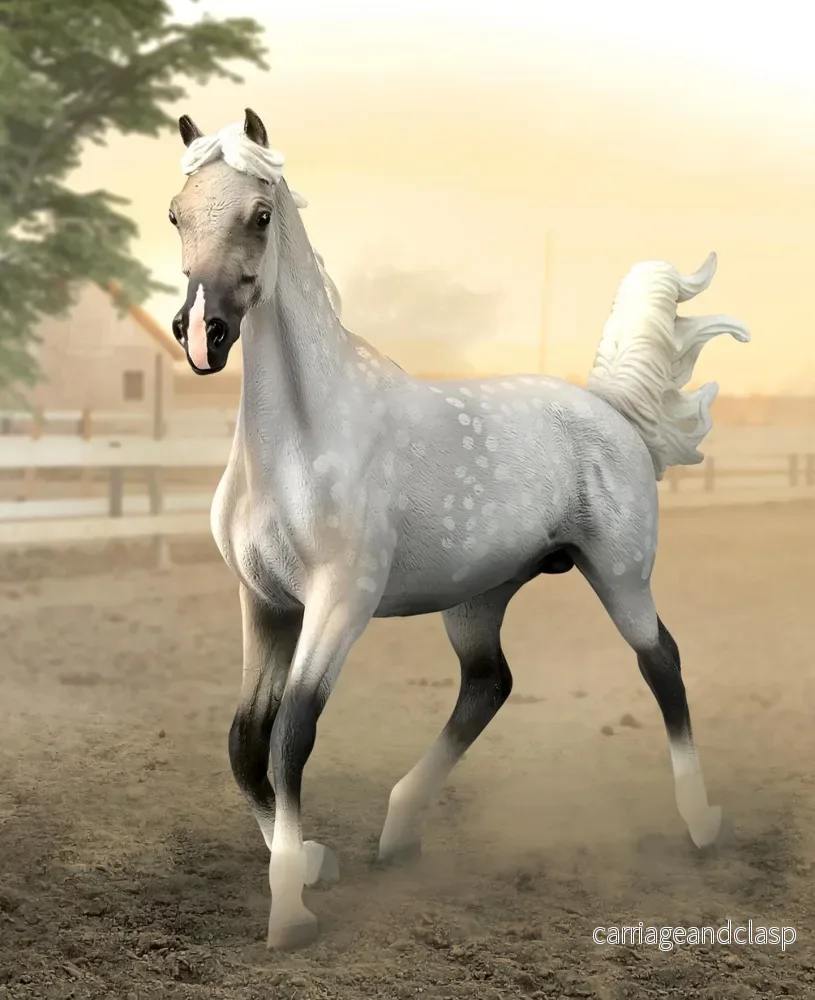 CollectA - Halvarab hingst skimmel - DELUXE (stor modell) - Bild 2