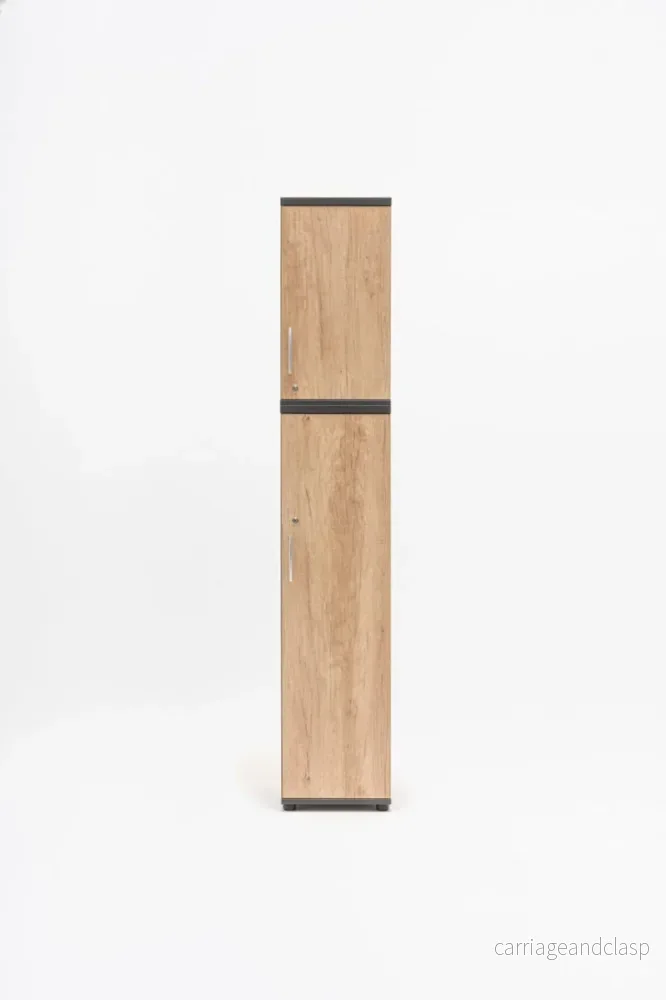 Basic extension unit