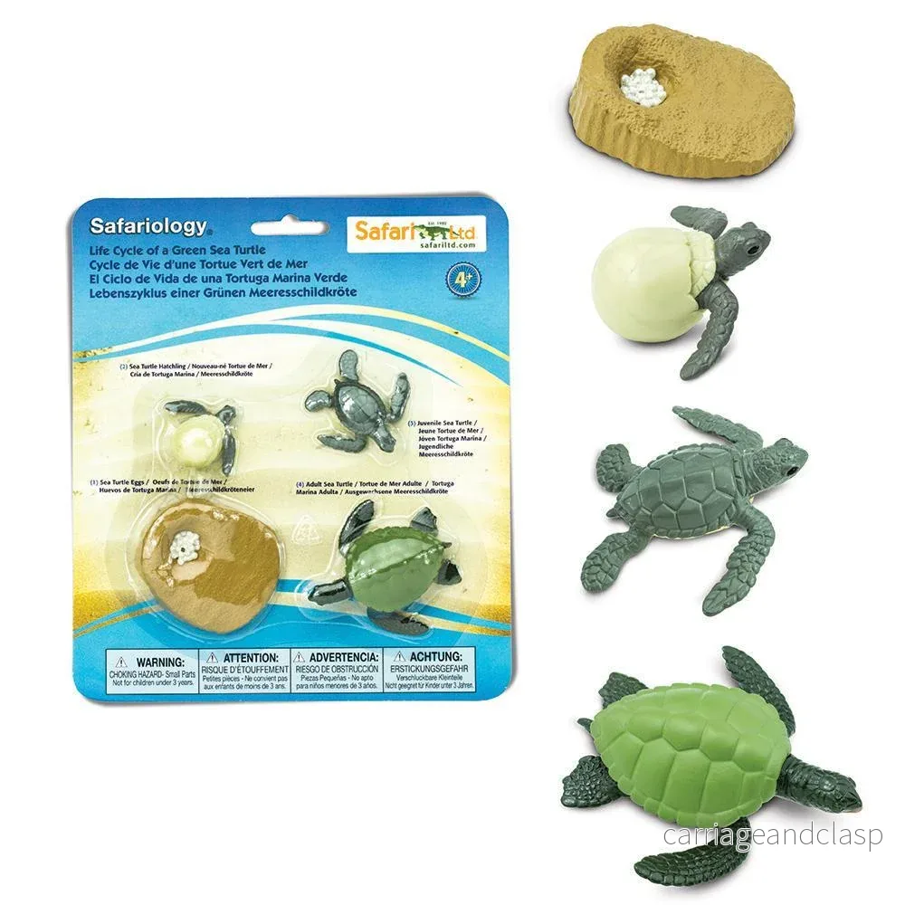 Safari Ltd - Livscykel av Grön havssköldpadda - Safariology® - Bild 3