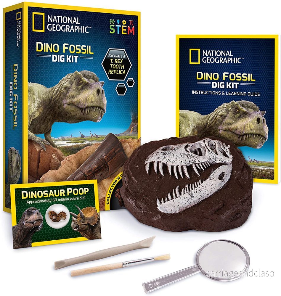National Geographic, Gräv-kit tyrannosaurus tand replica - Bild 2